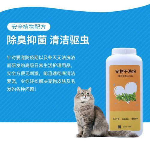 猫咪干洗(用干洗粉可以吗)