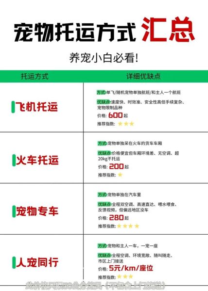 猫咪怎么托运(怎么才能顺利办理托运)