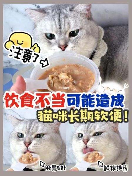 猫咪拉稀(是环境变化引起还是饮食不当)