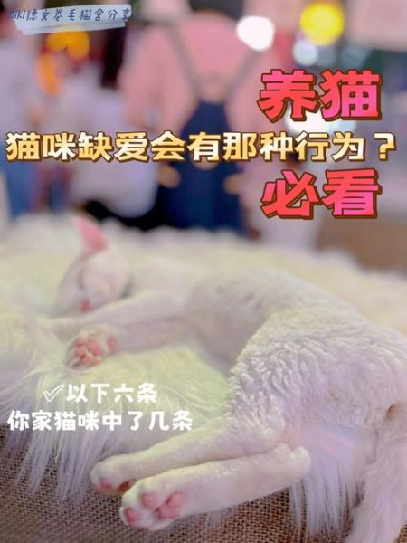 猫咪缺爱的表现(是怕你离开它吗)