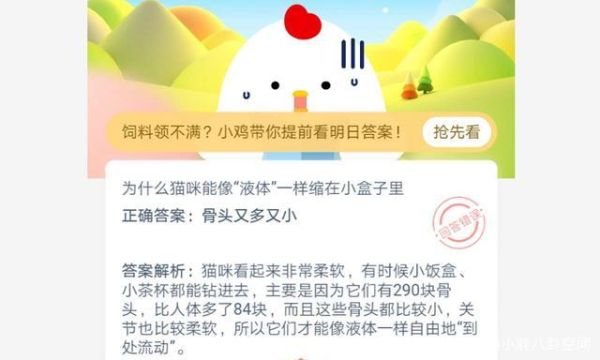 猫咪能像液体一样缩在盒子里(它们为什么可以像液体一样挤进小盒子)