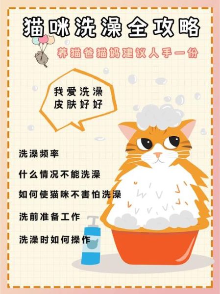 猫咪需要经常洗澡保持干净吗(洗澡会让它感到不安吗)