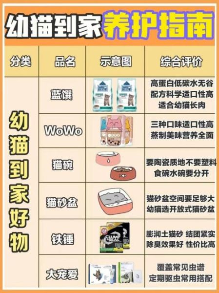 猫天天(俘获多少先锋的心)