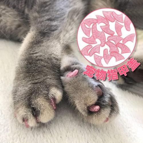 猫指甲套(是主人还是猫咪)