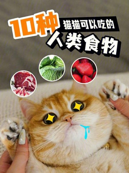 猫最喜欢吃什么(是人间美味还是猫界珍馐)