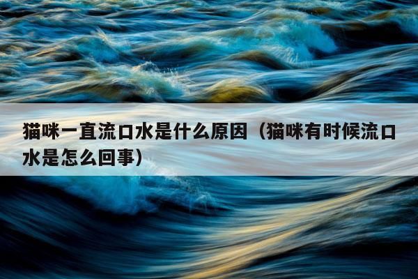 猫流口水(铲屎官应该怎么应对)