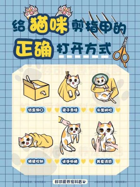 猫爪子( 为什么铲屎官们要经常给猫咪剪指甲)