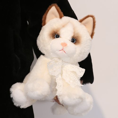 猫玩具( 哪些玩具是猫主子最爱的)