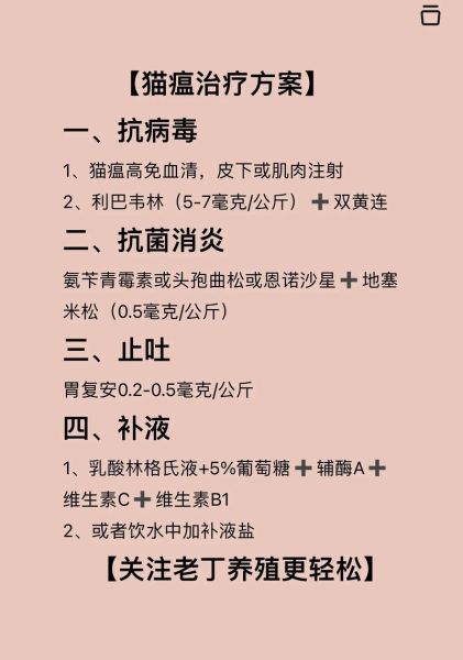 猫瘟(猫瘟的治疗方法有哪些)