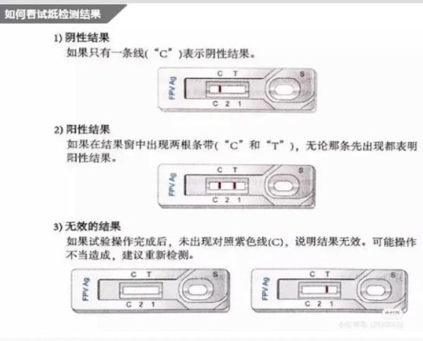 猫瘟(猫瘟的治疗方法有哪些)