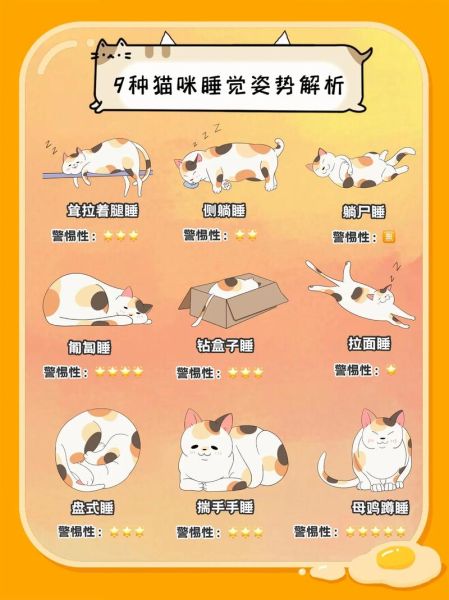 猫的习性( 难道它们不是睡得很香吗)