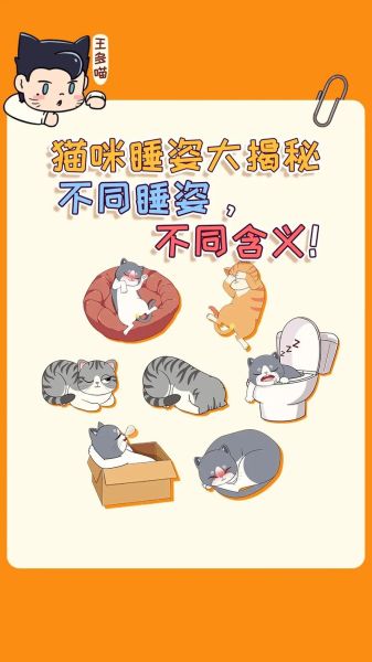 猫的习性( 难道它们不是睡得很香吗)