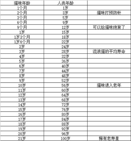 猫的寿命最长能活多少年(猫的妊娠期有多长)