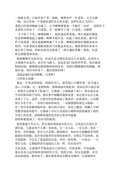 猫的生活习性( 它到底在玩什么)