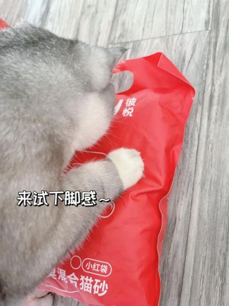 猫砂使用(铲屎官的烦恼)