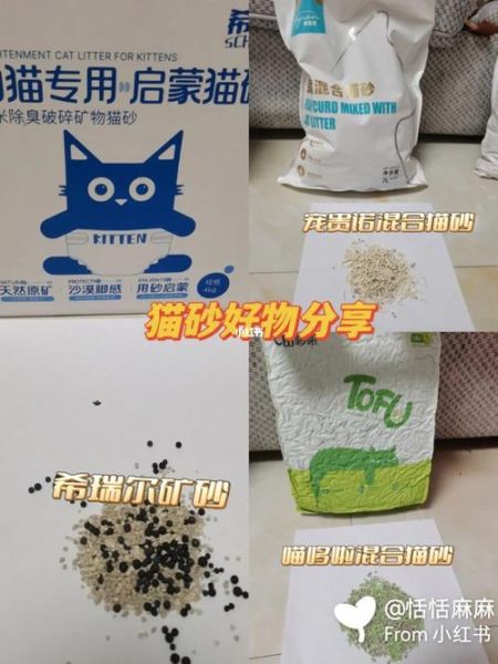 猫砂购买(是选择进口还是国产)