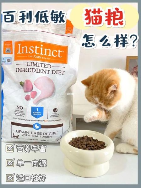 猫粮品牌(它比百利猫粮更值得买吗)
