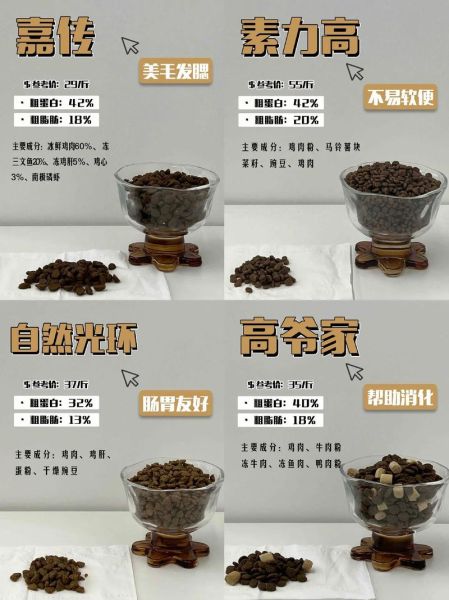 猫粮排行榜(猫粮排行榜揭秘真相)