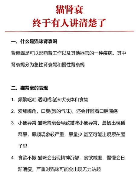 猫肾衰竭( 还是天生就有的病)