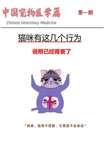 猫肾衰竭( 还是天生就有的病)