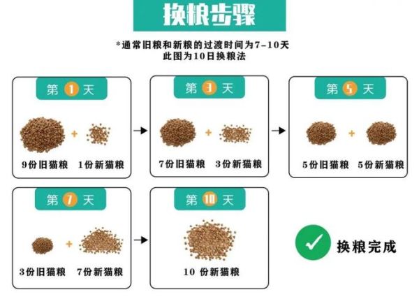 猫食欲不振(是换粮的原因还是身体出现问题了)
