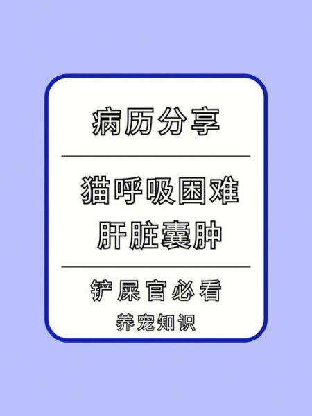 猫食欲不振(是换粮的原因还是身体出现问题了)