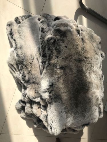 獭兔( 獭兔皮毛有什么用途)