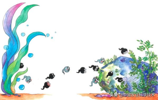 玻璃拉拉( 它们喜欢吃什么)