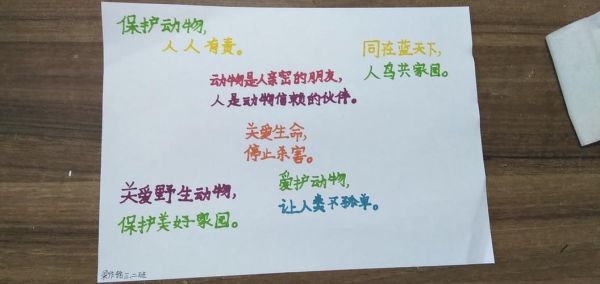 珍惜动物( 我们该如何拯救它们)