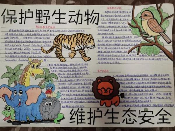 珍惜动物( 我们该如何拯救它们)