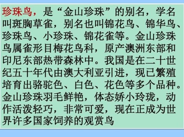 珍珠鸟资料( 需要注意些什么)
