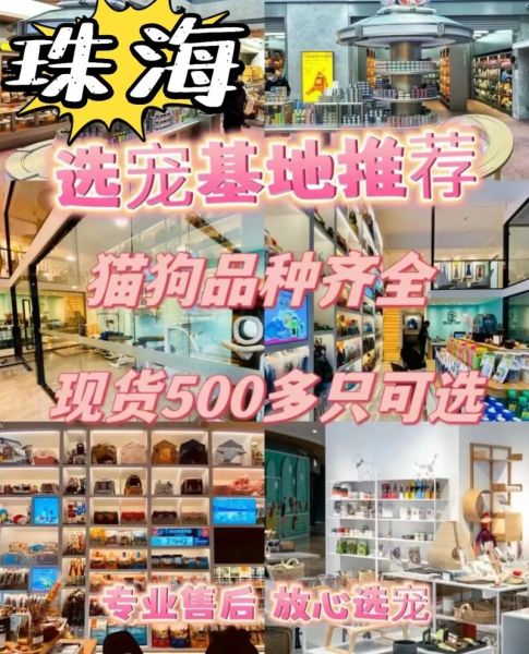 珠海宠物网(如何选购优质的宠物用品)