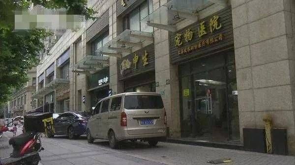 申生宠物医院(真的值得信赖吗)