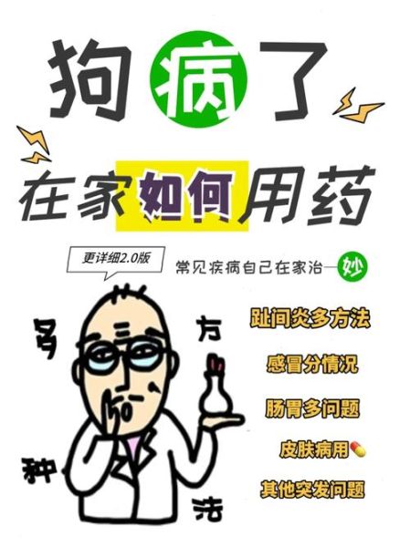病狗问题( 主人该怎么办)