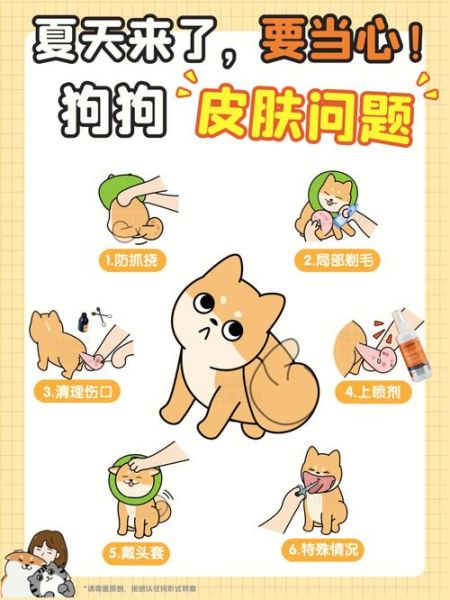 病狗问题( 主人该怎么办)