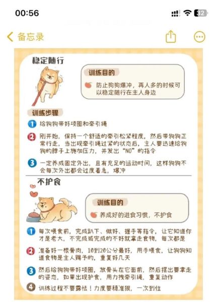 短毛小型犬( 怎么才能让它们更健康)