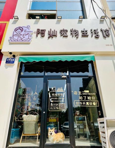 石家庄宠物店(想选到健康活泼的宠物)