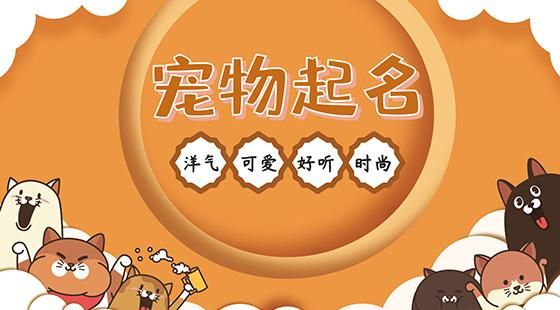 神武好听的宠物名字(哪个更适合你的小可爱)
