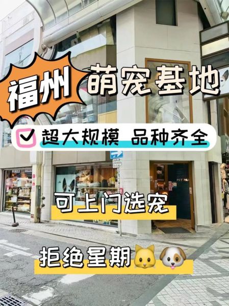 福州宠物(怎么才能找到靠谱的)