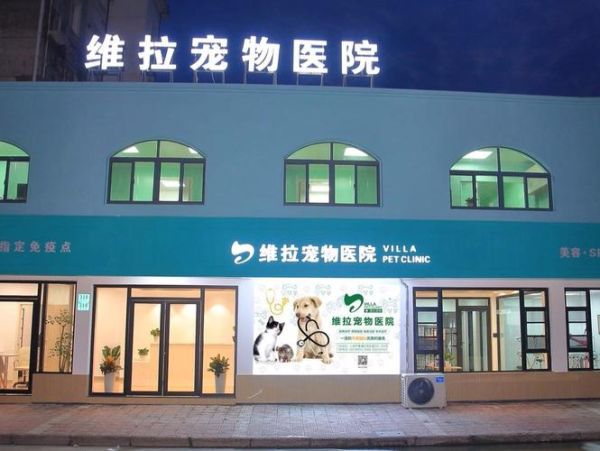 离我最近的宠物医院(附近哪家宠物医院最好)