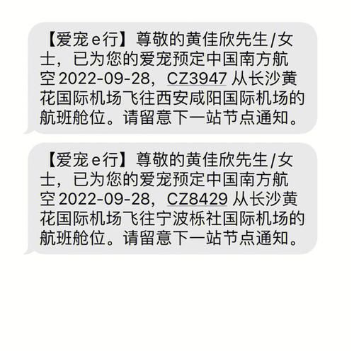空运宠物(怎么才能顺利过关)