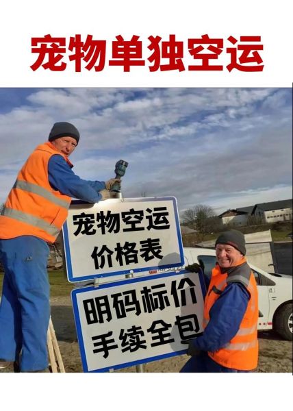 空运狗狗多少钱( 空运狗狗真的划算吗)
