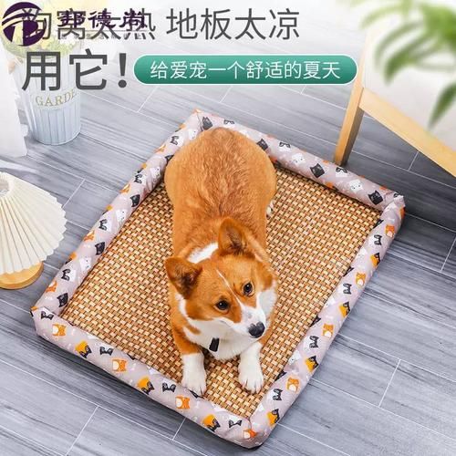 窝狗(跟窝狗有啥关系)