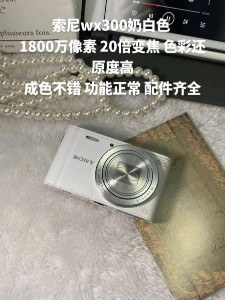 索狗( 索尼粉丝真的会无脑黑其他品牌吗)