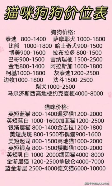 约克夏价格(6000靠谱吗)