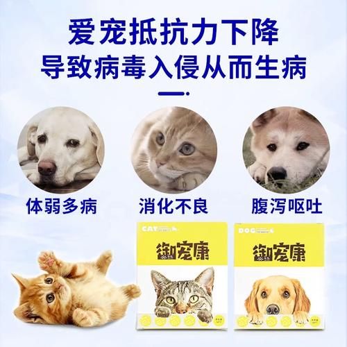 细小怎么治( 怎么才能让它康复)