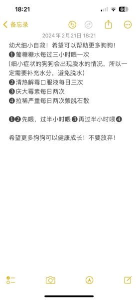 细小是什么( 如何才能救回患细小的狗狗)