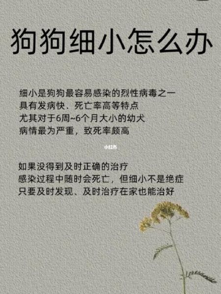 细小病( 怎么办才好)