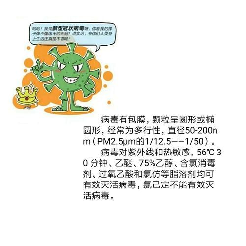 细小病毒( 它会传染给人吗)