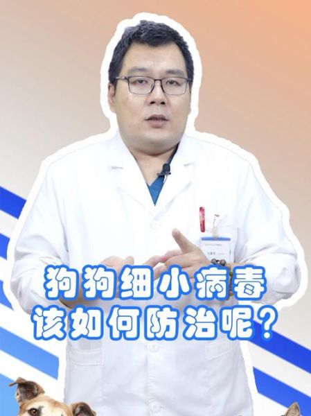 细小病毒的治疗(有哪些方法可以试试)